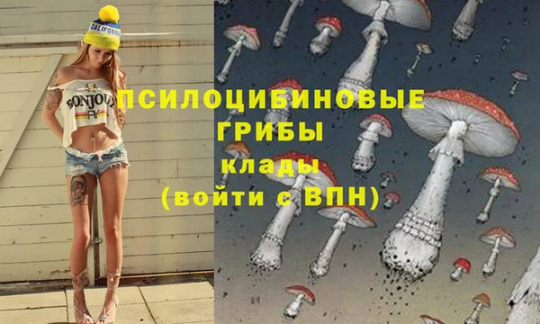 метадон Белоозёрский