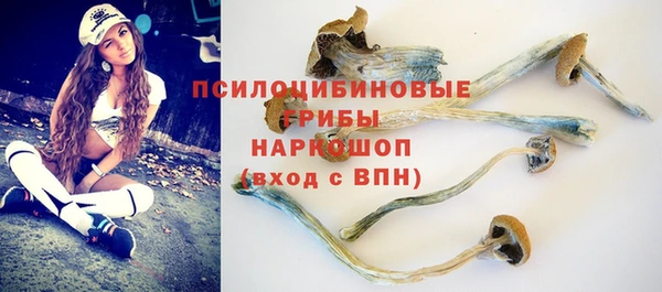 скорость Белокуриха